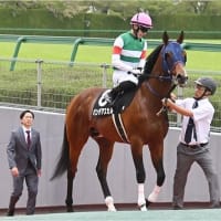 今週は1頭