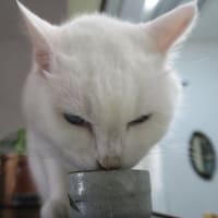 一杯飲み屋