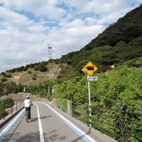 生口島周遊サイクリング