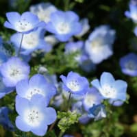 また、まんのう公園を訪れた