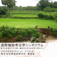 植物考古学研究会のご案内