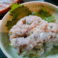 アジ釣り♪