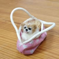 明るい気持ちでお空のハニーちゃんと繋がっているご様子に、ほっこりしました
