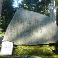 俳人杉田久女(考)　～帝国風景院賞金賞受賞～ (38)