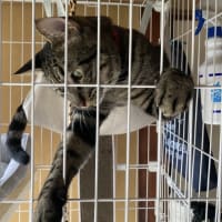 年々知恵が付いて