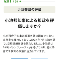 投票マッチングサイト