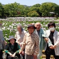 0604*花しょうぶ園