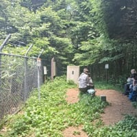 アクティブレスト的に馬追山を歩く　令和7年7月10日（木）