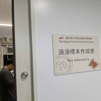 新しい研究室