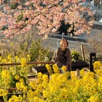 まつだ桜まつり