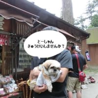夏旅行！⑧奥日光～榛名神社