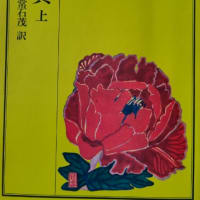 聊齊志異 卷三 鴝鵒（清）蒲松齡


