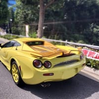 久し振りに大蛇