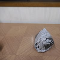 冷やし中華なんよ　