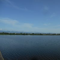 梅雨の晴れ間の江津湖畔