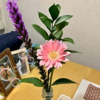 道徳　命~続きです❣️