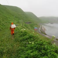 今年も上伊那から山のお便り