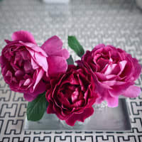 薔薇とバジリコ