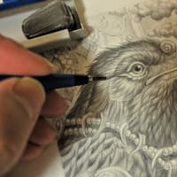 鉛筆画「鴉」2021年作製 鉛筆画「鴉」2021年作製