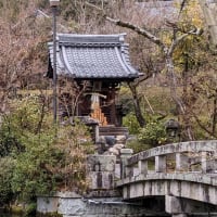 京都・左京区、永観堂（２）