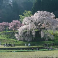 遠州灘フライト（４月４日）