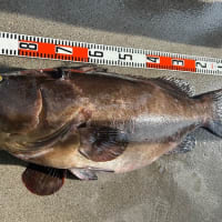 釣果