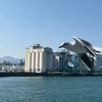 ゆりかもめ
