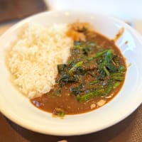 牛丼屋で食う　カレー🍛【すき家】