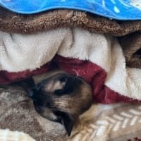 何日か後には変更⁉️