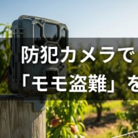 防犯カメラで「モモ盗難」を防げ！