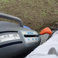 鋤き方を変えてみた