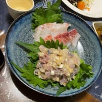 追っかけニャンコとアジのなめろう