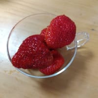 教育、とは？