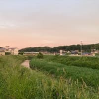 初夏の気持ち良さ
