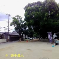 阪南市石田波太神社・伊勢大神楽講社山本勘太夫社中の総舞奉納～神社初参詣～