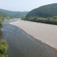 本日の海部川
