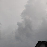 やっと