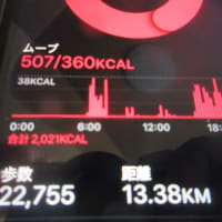 朝ウォーキングの風景。令和7年6月14日。久しぶりに出てきたシロちゃん。