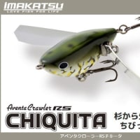 imakatsu アベンタクローラーＲＳチキータ入荷