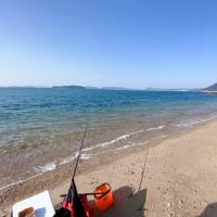 釣り始め🎣