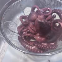 釣果の恩恵