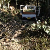 広葉樹の枝葉で堆肥作り
