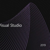 Visual Studio For Web (Community内)