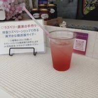 ＧＷは終わりましたがみなかみへ⑥