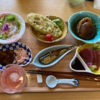 天王川公園の藤　満開　津島市