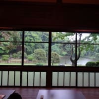 雨の東京探訪の会、肥後細川庭園へ