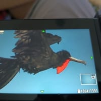 コスタリカです