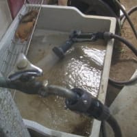 蛇口の水漏れ解決