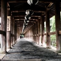 あぢさゐ回廊-奈良県桜井市：長谷寺
