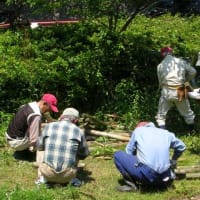 さくら友の会総会
